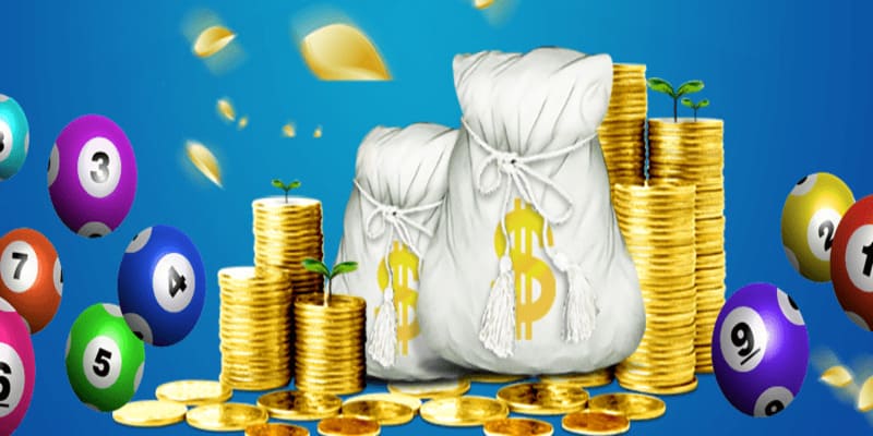 Hội viên không nên bỏ qua cách bắt bạch thủ lô giải đặc biệt