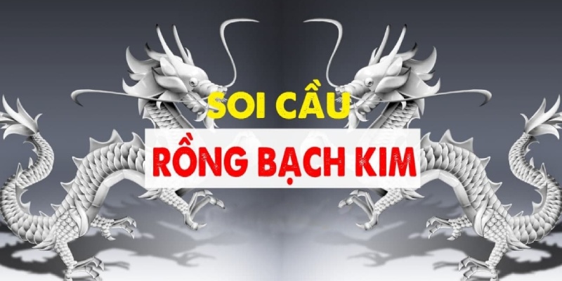 Lựa chọn phương pháp và tiến hành soi cầu